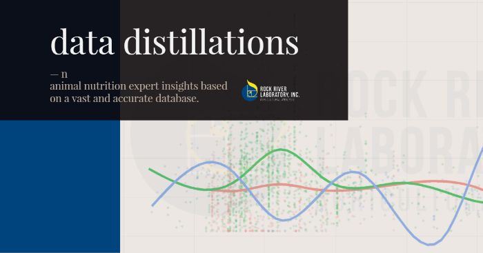 Data Distillations header image
