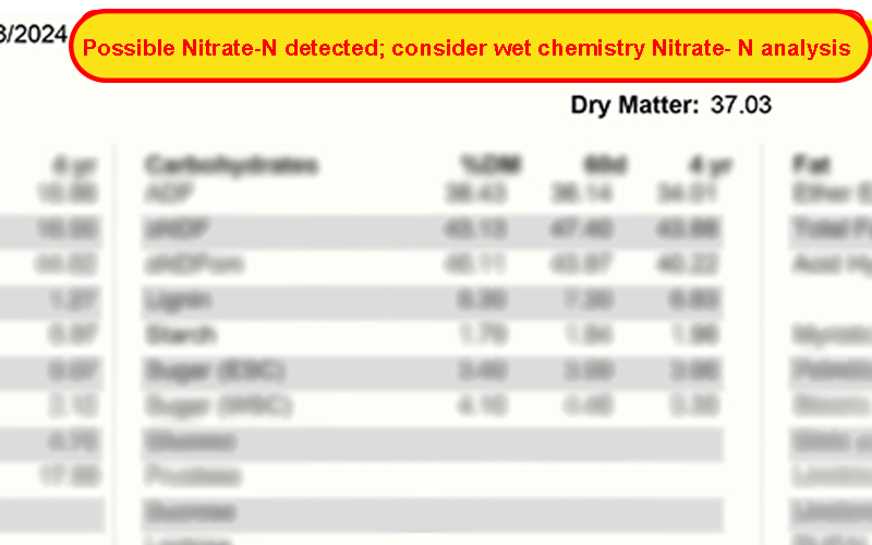 Snip of Rock River Laboratory forage analysis report showcasing alert of Nitrate N detection, highlighted at the top