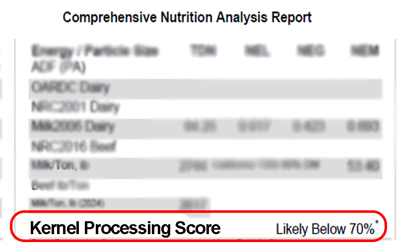 A snip of the Comprehensive Nutrition Analysis report from Rock River Laboratory with KPS Indicator line item bolded and highlighted. 