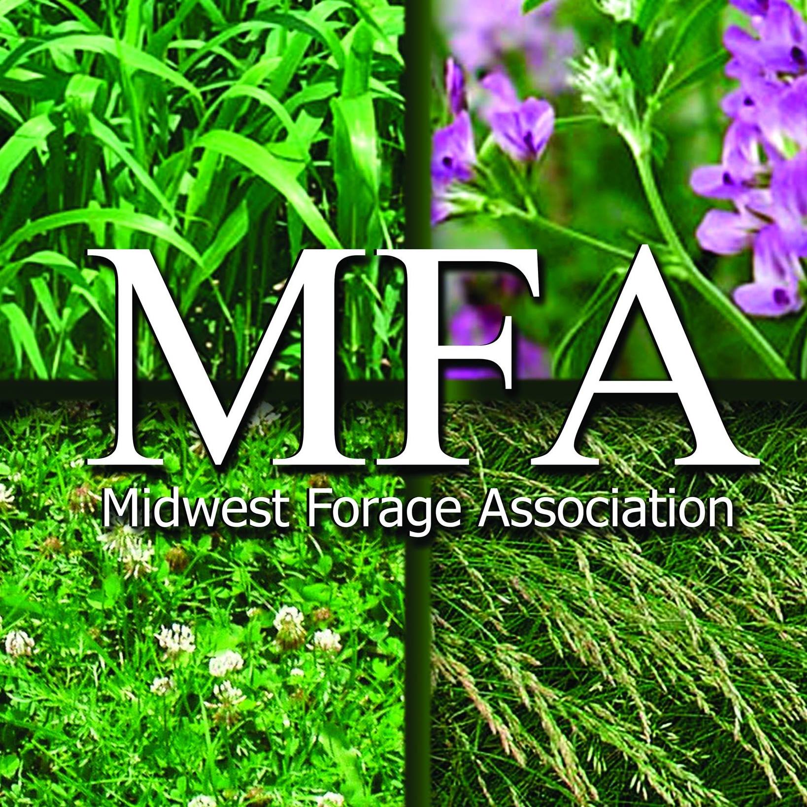 Midwest Forage Association (MFA) logo