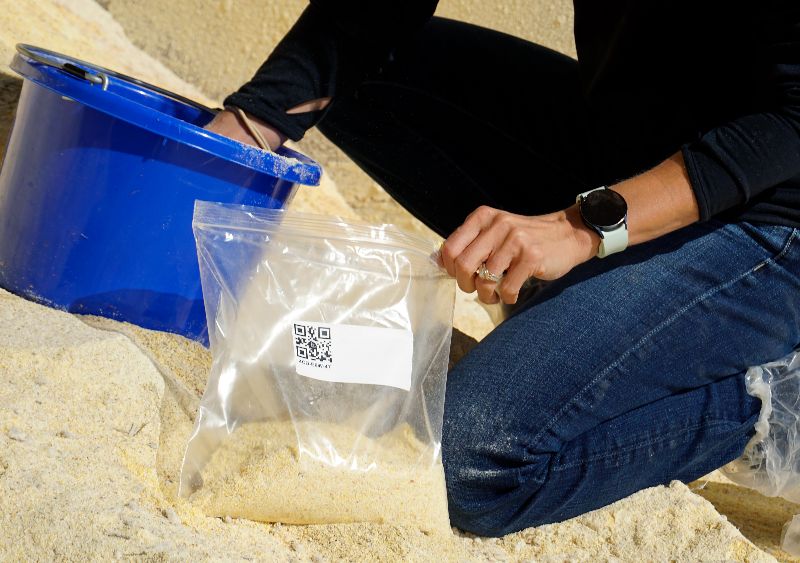 Bagged silage samples in a feed bucket